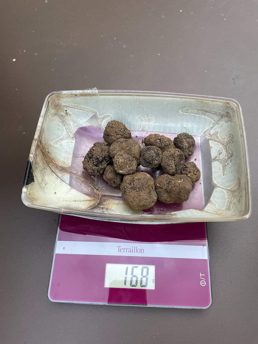 168 grams of the truffle spoils|Sweetbreads with cannelloni and truffle|The truffle shavings|With Flor and Judi