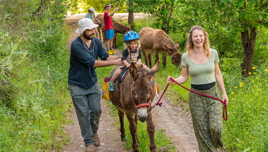 A lucky three-year-old gets a donkey ride