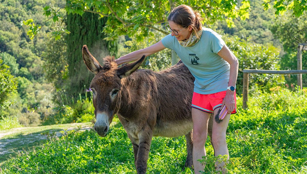 A visitor to Burros & Artes helps with grooming a donkey