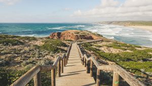 90-day rule – How can we lobby the Portuguese government on this?