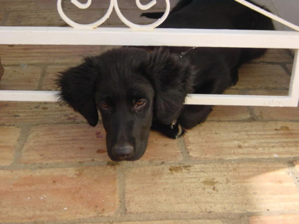 Leftovers – what do you with them?