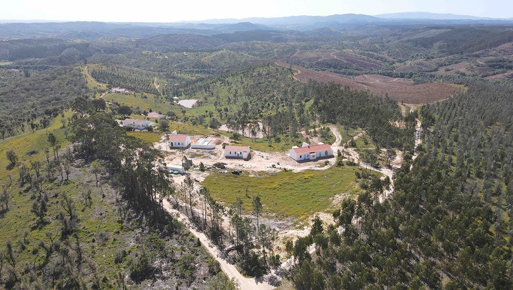 The Big Picture: things are really starting to take shape. We hope the beautiful green patch we planted will help boost the vineyard-to-be
