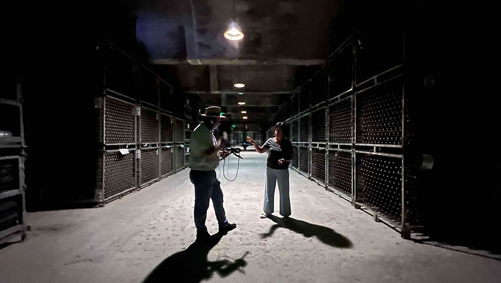 Cellar stories: Interviewing former Esporão chief winemaker Sandra Alves in their huge underground wine bunker