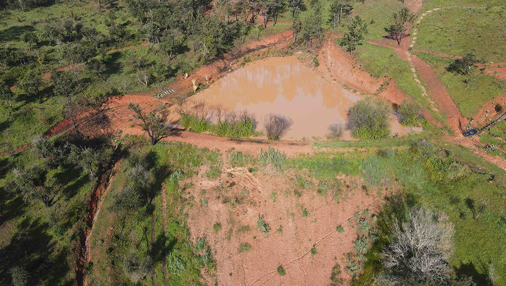 Full to overflowing, but leaking too