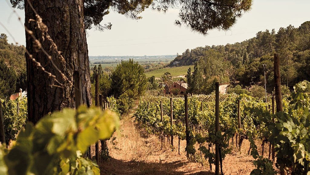 Landscape_&_Location_64