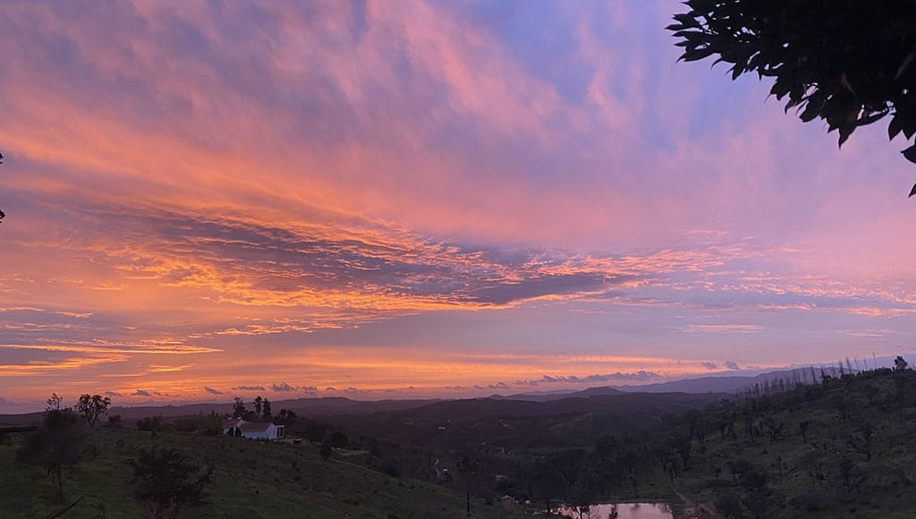 Purple sunrise: it’s a great time of the year in Alentejo for dramatic sunrises