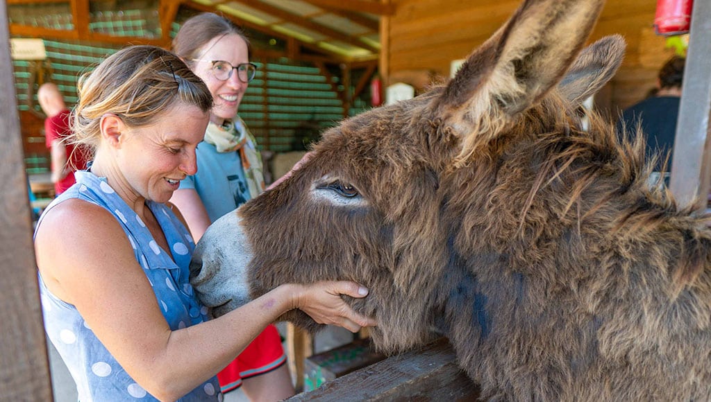Stefanie has a fond moment with one of her favorite donkeys