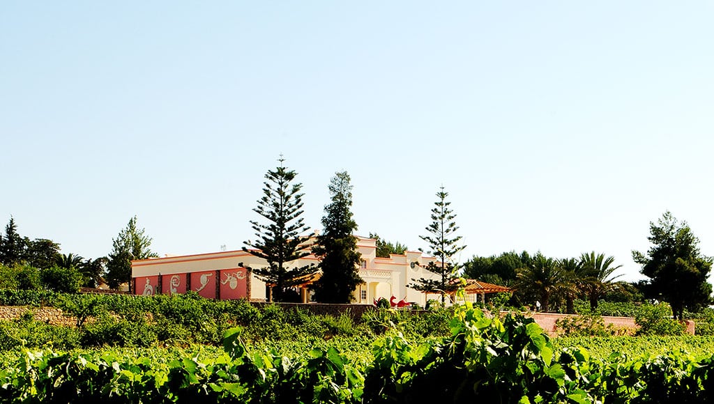 quinta-dos-vales-wine-estate-algarve