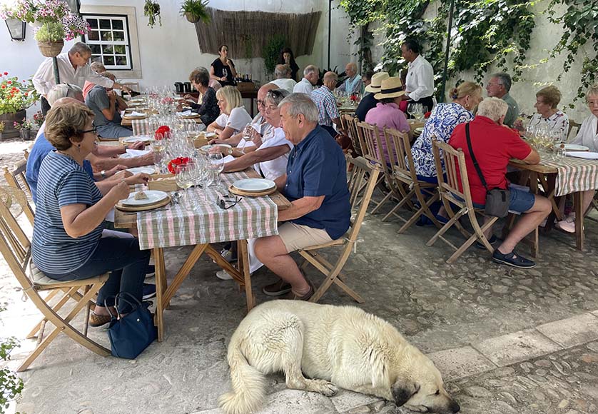 Relaxed lunch at Casal Branco|Paulo Cunha of Pinhal da Torre with the traditional basket presses|Tasting in the winery at Pinhal da Torre|AWS winetasters in the Tejo|The carriage museum at Quinta Lagoalva de Cima