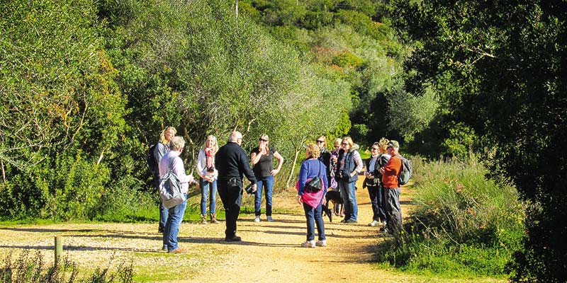 Alyson Sheldrake/Algarve Blog