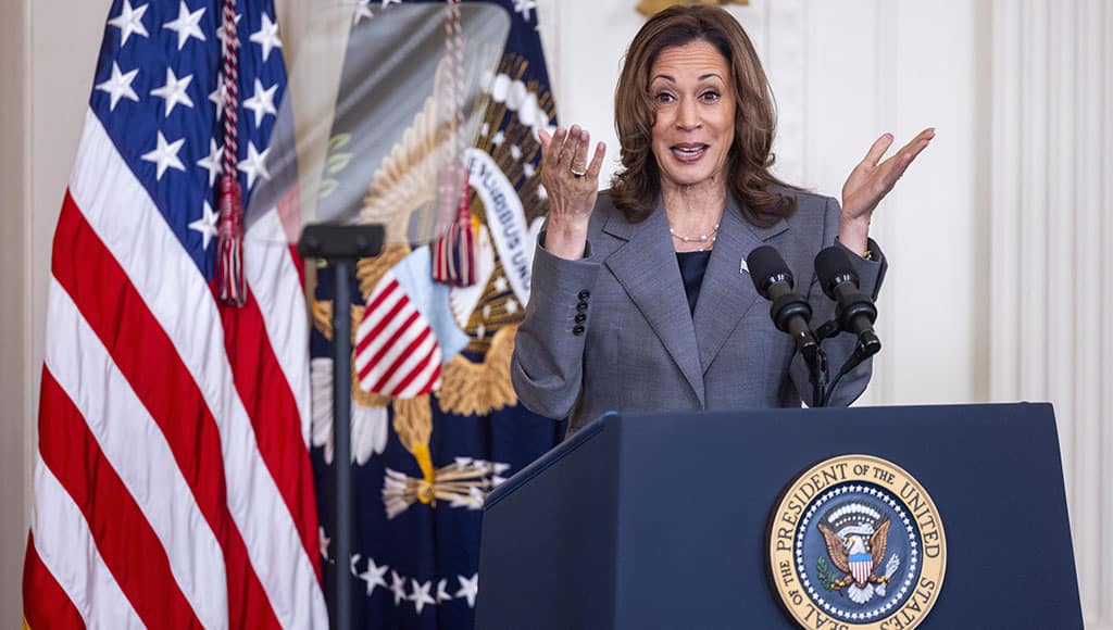 US Vice President Kamala Harris – Photo: EPA/SHAWN THEW