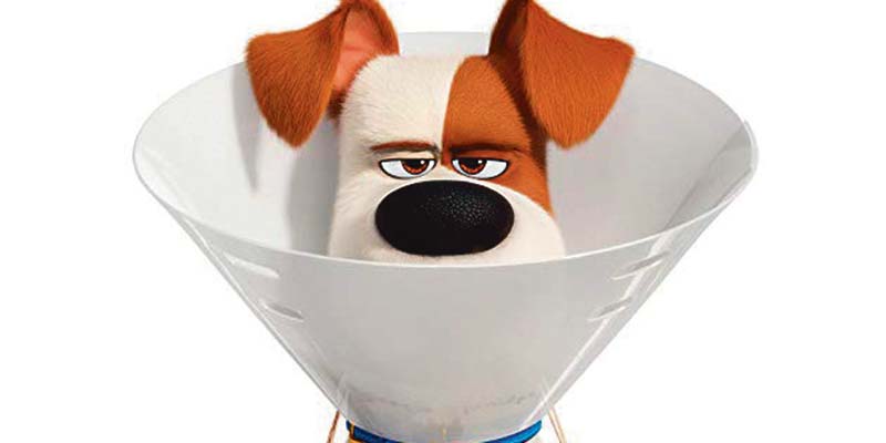 Cinema: The Secret Life of Pets 2