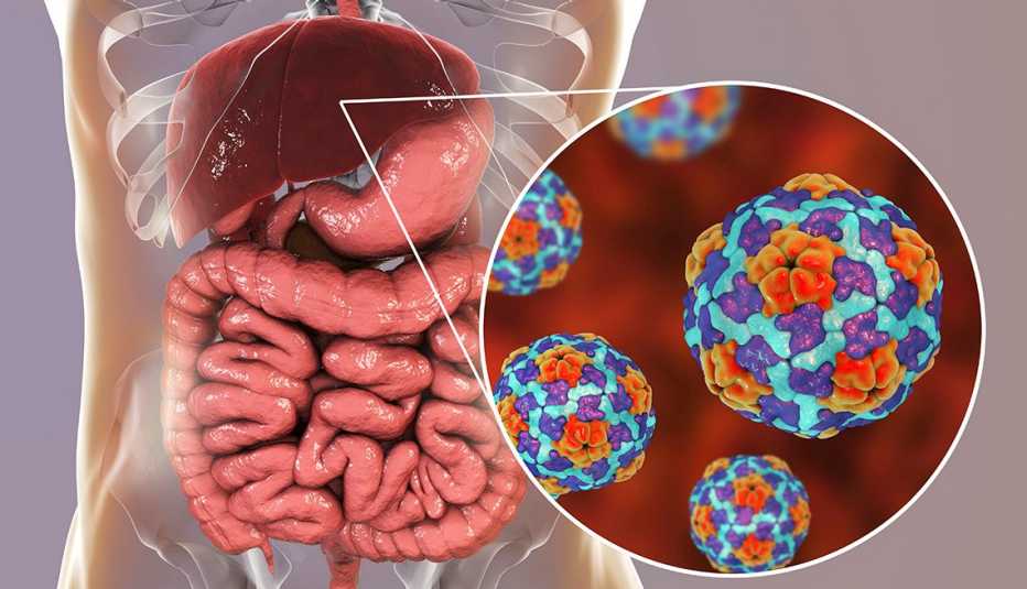 Baixo Alentejo Public Health Unit warns of hepatitis A outbreak in region