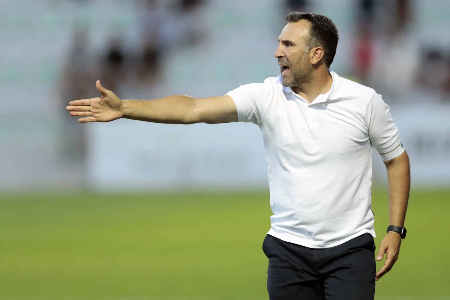 Portimonense vs Estrela da Amadora