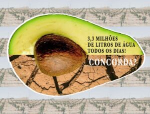 Lagos’ avocado ‘overlords’ hear they could be hit with fine for “millions of euros” 