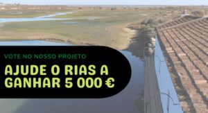 RIAS needs your vote to win €5,000 for ‘Clean Up Ria Formosa’ project
