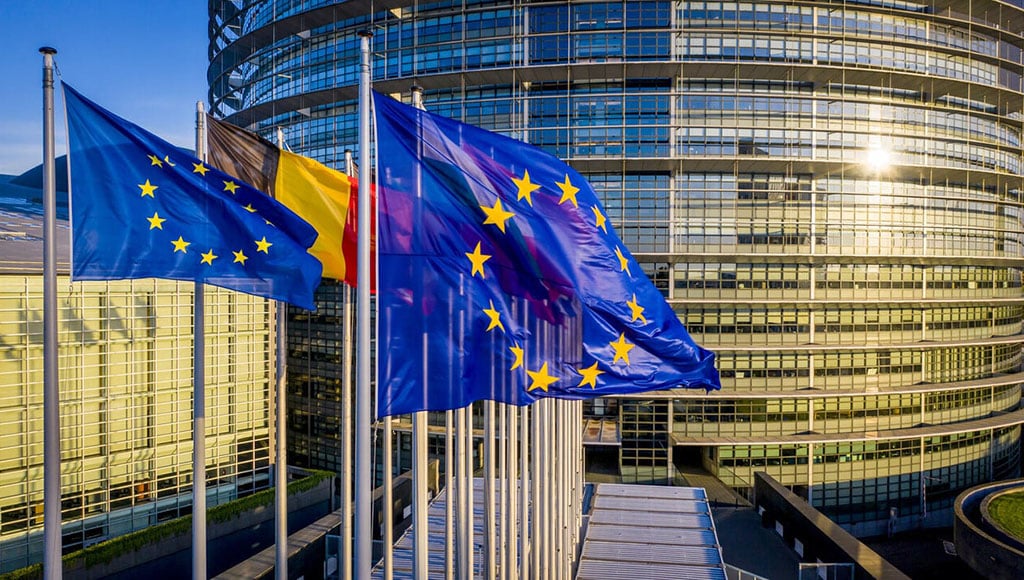 EU flags