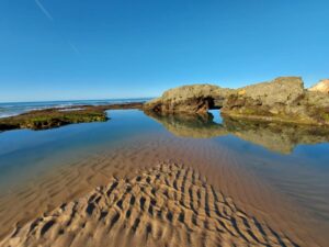 Golden beaches: environmental NGO classifies 392 beaches with “Quality of Gold”