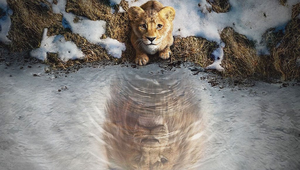 191224_IT_MUFASA