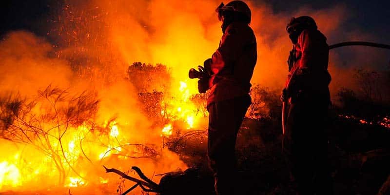 Auction to help firefighters attracts “overwhelming support”