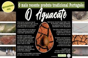 Citizens still battling to ensure rogue avocado plantation does as it has been ordered