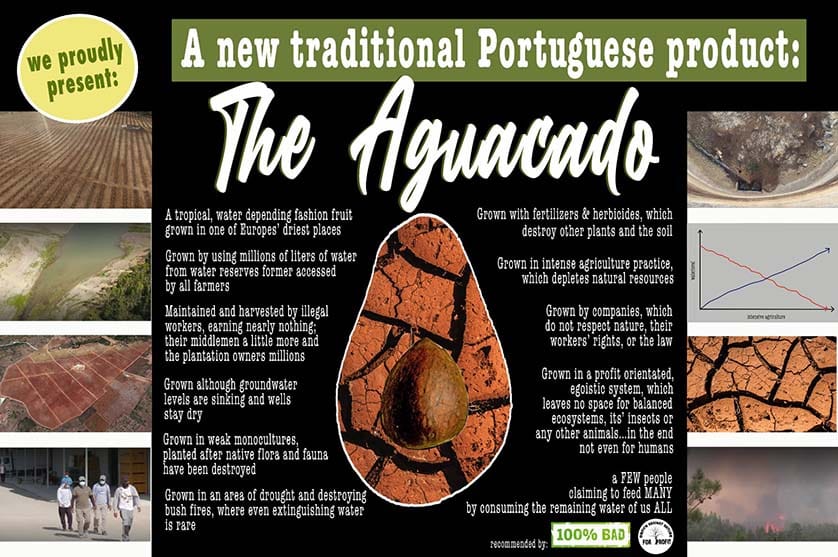 Regenerarte, the pressure group formed to try and protect citizens right to water, has produced a number of 'advertisements' warning of the effects of avocado plantations