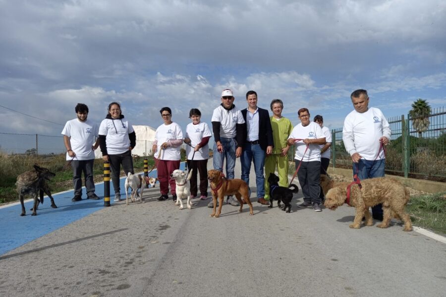 Disabled help walk Olhão kennel dogs|Disabled help walk Olhão kennel dogs