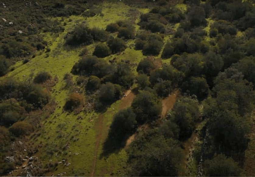 Barrocal landscape