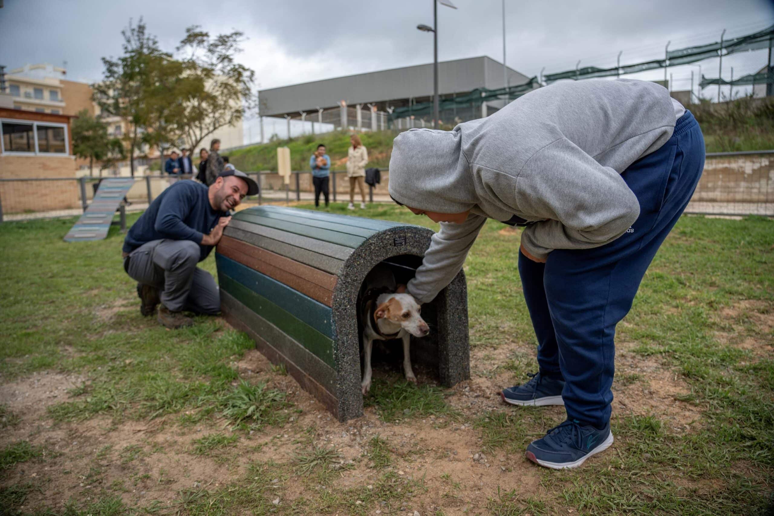 New dog park opens in Olhão|New dog park opens in Olhão|New dog park opens in Olhão|New dog park opens in Olhão