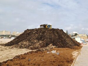 Algae invasion triggers major cleanup at Praia da Rocha