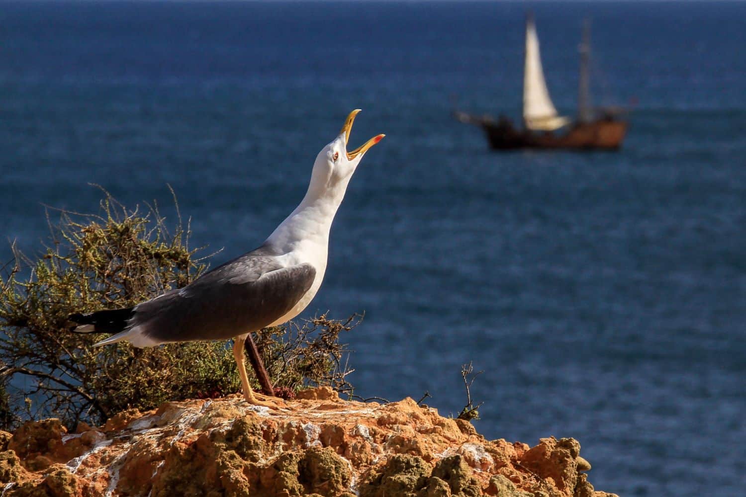 Portimão “Photographic Marathon” winners on display until March 30.2