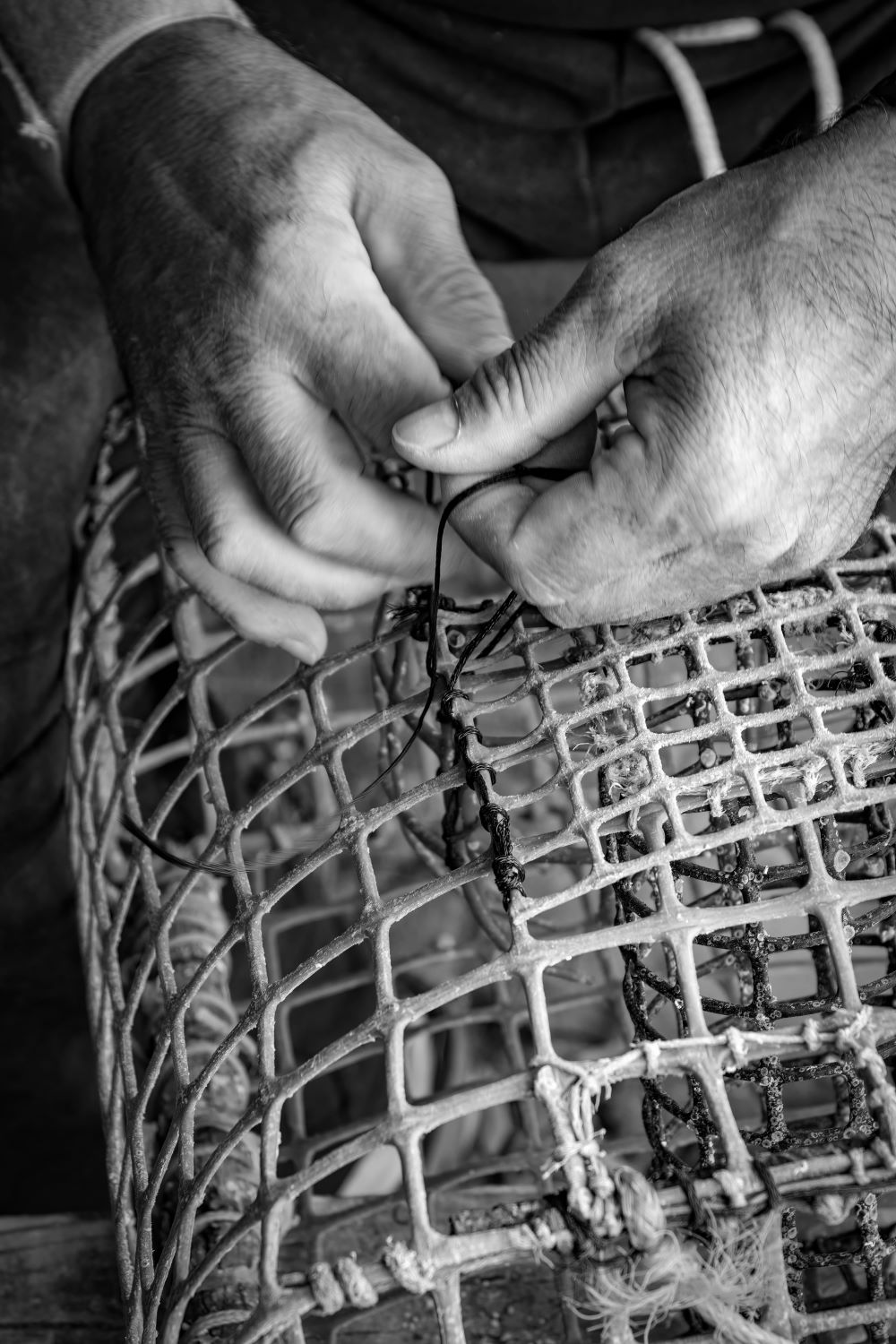 Portimão “Photographic Marathon” winners on display until March 30.3