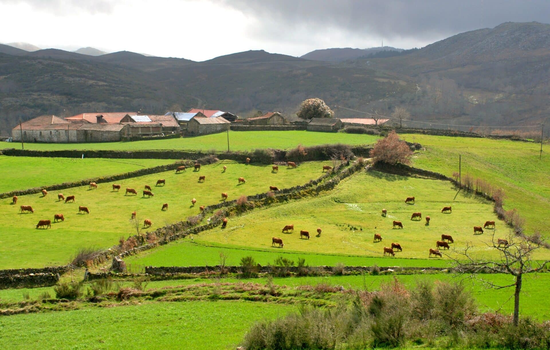 quiet pace of life in the Barroso region