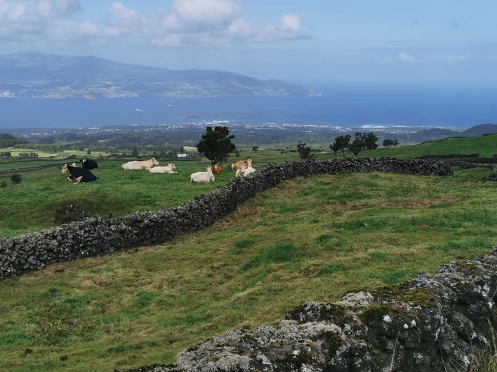 Property ‘speculators’ vanish into thin air - Azores mystery