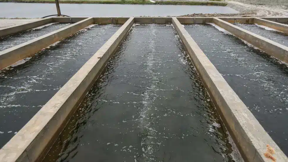 Aquaculture in Portugal to receive €22.8 million under MAR 2030 programme