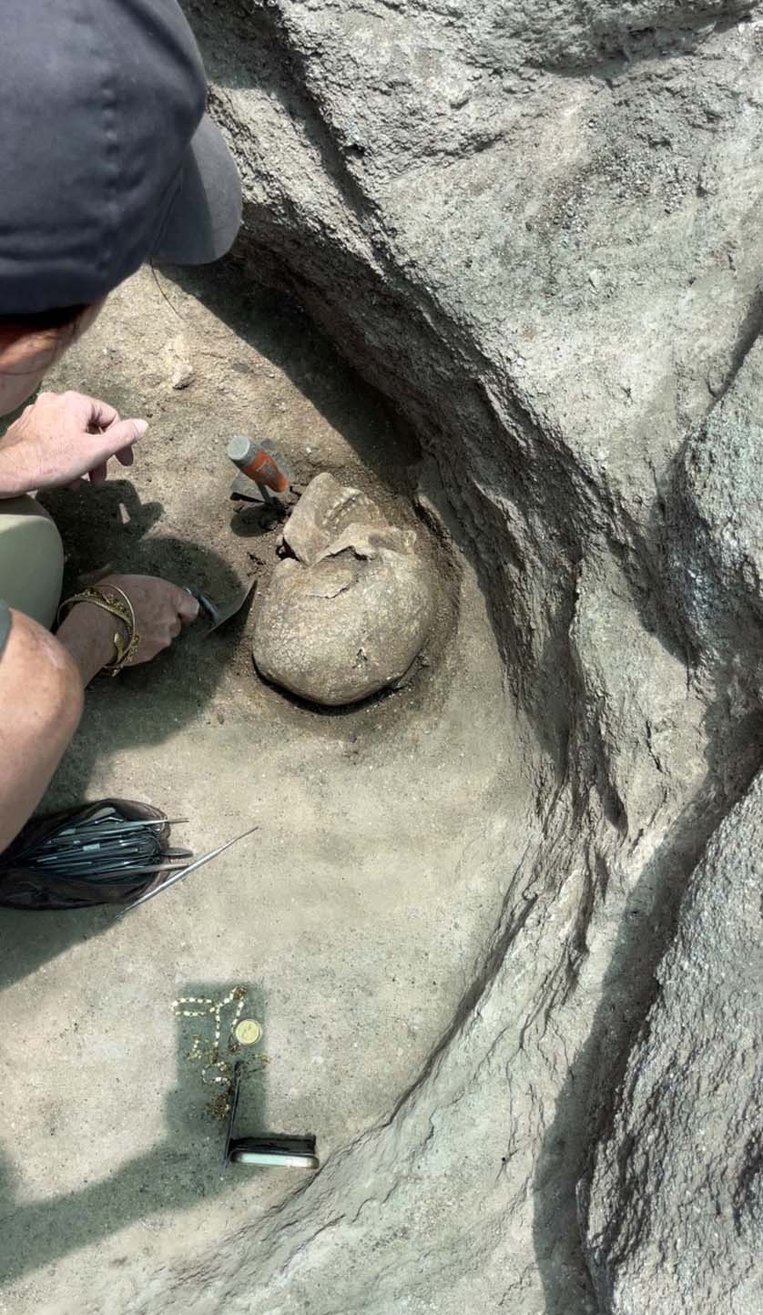 Excavation of a cranium in a pit from the Perdigões Archaeological Enclosure in Reguengos de Monsaraz (2400 BC)