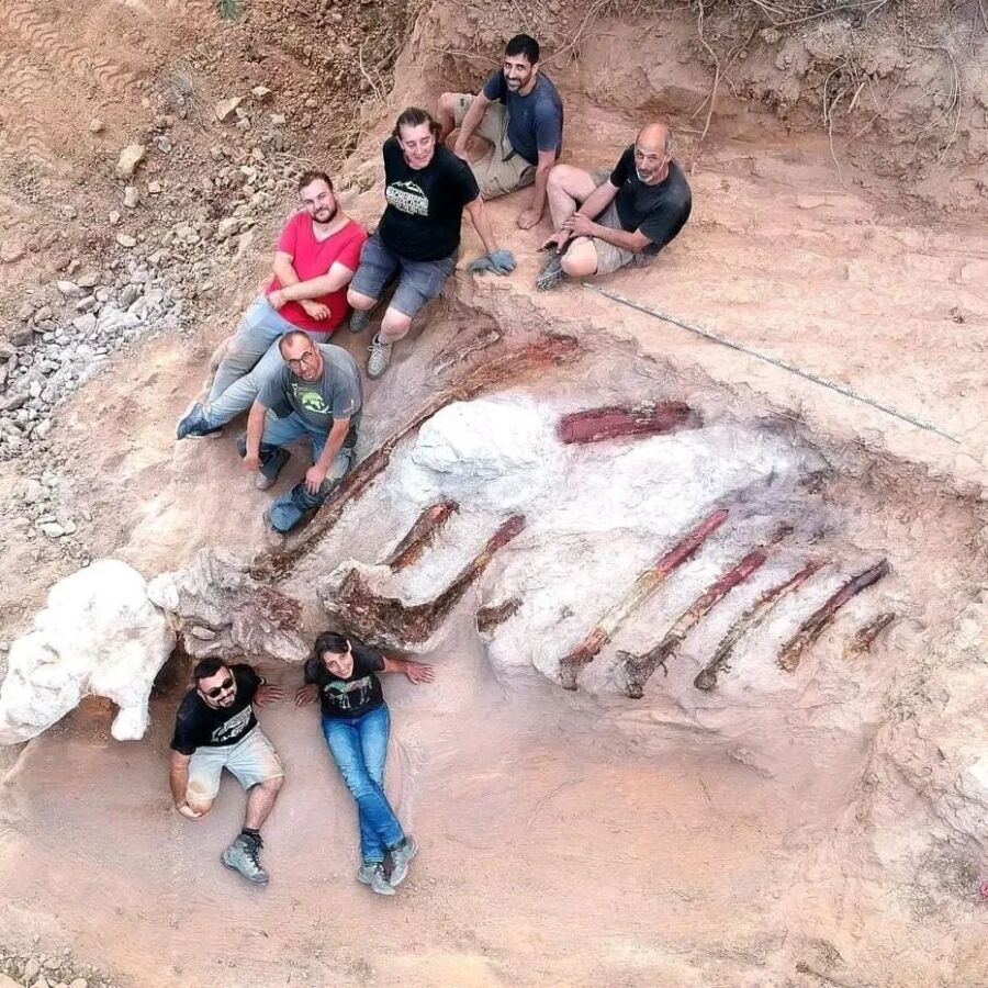 Skeleton of 25-metre-long dinosaur found in man’s backyard in Portugal|Skeleton of 25-metre-long dinosaur found in man’s backyard in Portugal|Skeleton of 25-metre-long dinosaur found in man’s backyard in Portugal|Skeleton of 25-metre-long dinosaur found in man’s backyard in Portugal