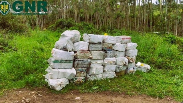 1.4 tons of cocaine seized by police off coast of Peniche