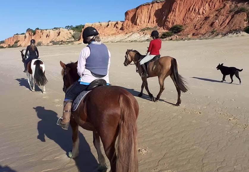 Pinetrees Riding Centre