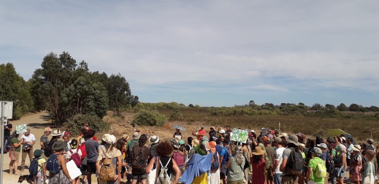 Yesterday's protest march near Sines. The protest is being run through a social media platform 'in defence of trees' (https://www.facebook.com/groups/1519765108289585/?hoisted_section_header_type=recently_seen&multi_permalinks=3444506442482099) and backed by environmental NGO Quercus (https://www.facebook.com/quercusoficial)|Yesterday's protest march near Sines. The protest is being run through a social media platform 'in defence of trees' (https://www.facebook.com/groups/1519765108289585/?hoisted_section_header_type=recently_seen&multi_permalinks=3444506442482099) and backed by environmental NGO Quercus (https://www.facebook.com/quercusoficial)|Yesterday's protest march near Sines. The protest is being run through a social media platform 'in defence of trees' (https://www.facebook.com/groups/1519765108289585/?hoisted_section_header_type=recently_seen&multi_permalinks=3444506442482099) and backed by environmental NGO Quercus (https://www.facebook.com/quercusoficial)