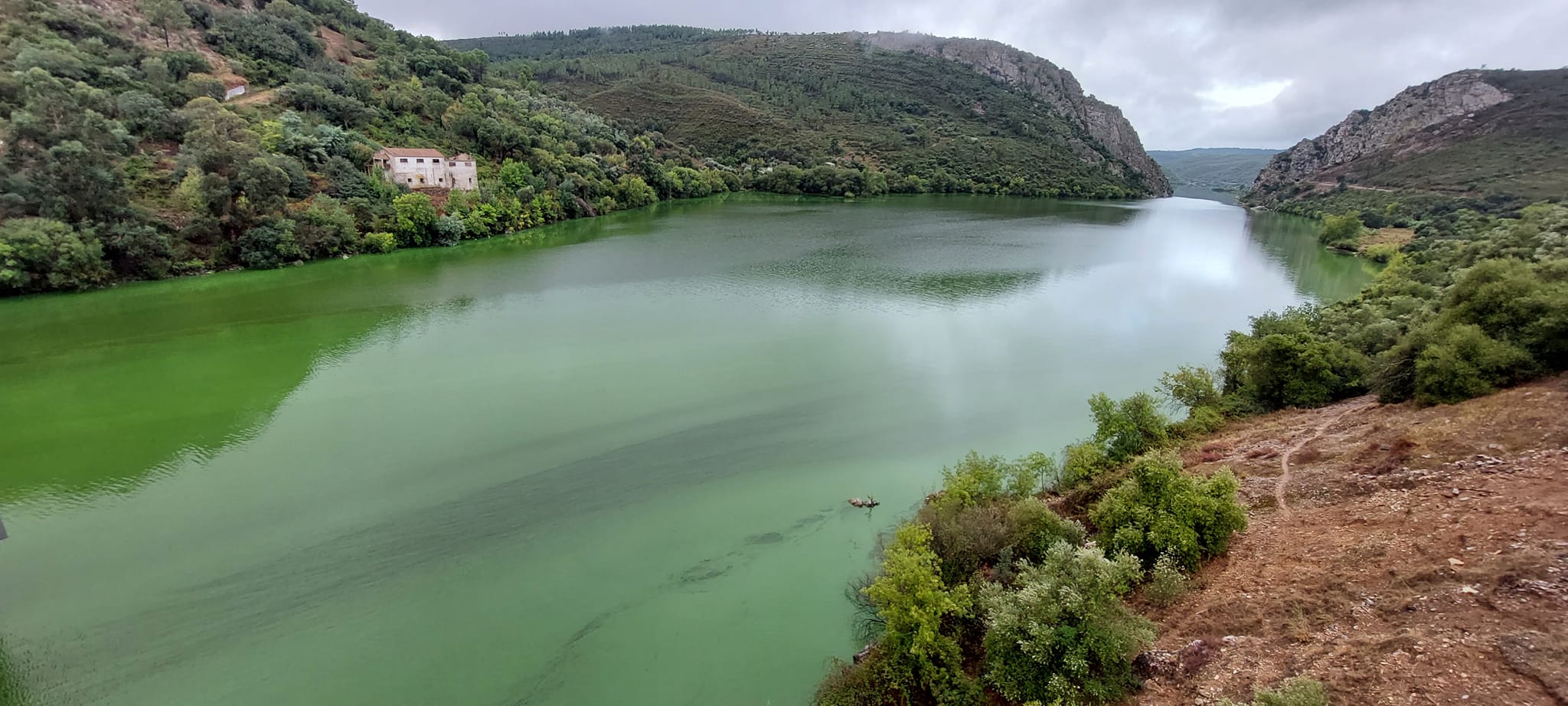 To the untrained eye, this may look like a perfectly healthy river, but Quercus Castelo Branco carried this image on Friday, clearly concerned, with the message: "We need to find out what is happening. If anyone has any information, please share it. Thank you"|green river