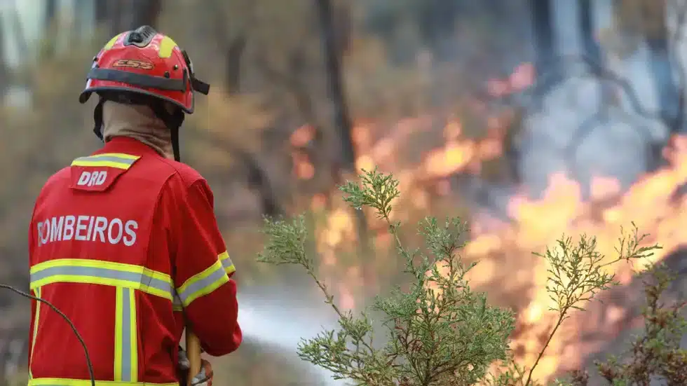 Portuguese firefighter