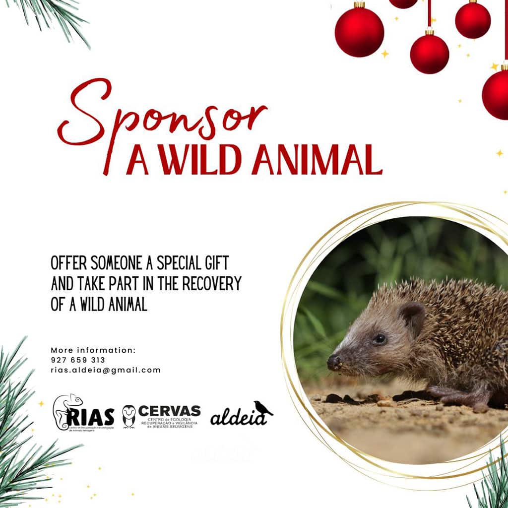 RIAS - Centro de Recuperação e Investigação de Animais Selvagens, Olhão