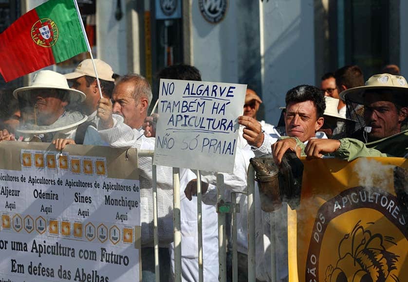 Up close with the electorate, Minister of Agriculture chose to ignore the protest by frustrated beekeepers. Image: Lusa