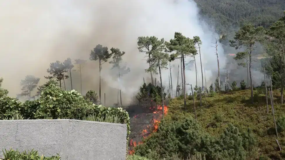 The fires in Madeira began mid-week last week, and continued until Saturday before being brought under control. Image: Homem de Gouveia/ Lusa