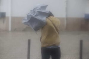 New record in wind generation – thanks to storm Martinho!