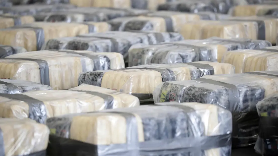 Over 30 arrests as police smash international drug trafficking network into Portugal and Spain