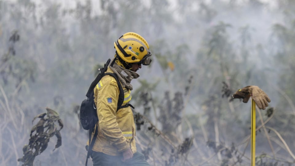 Portugal sends firefighting experts to help Brazil with Pantanal blazes