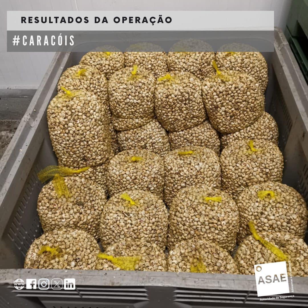 More than six tonnes of live snails apprehended in Sabugal