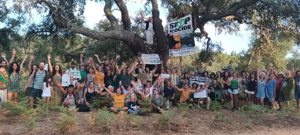 Environmental activists refuse to give up on avenging cork oak ‘massacre’